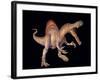 Spinosaurus Dinosaur-Joe Tucciarone-Framed Photographic Print