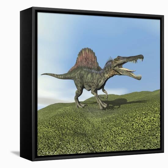 Spinosaurus Dinosaur-null-Framed Stretched Canvas