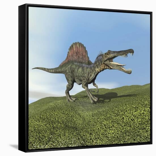 Spinosaurus Dinosaur-null-Framed Stretched Canvas