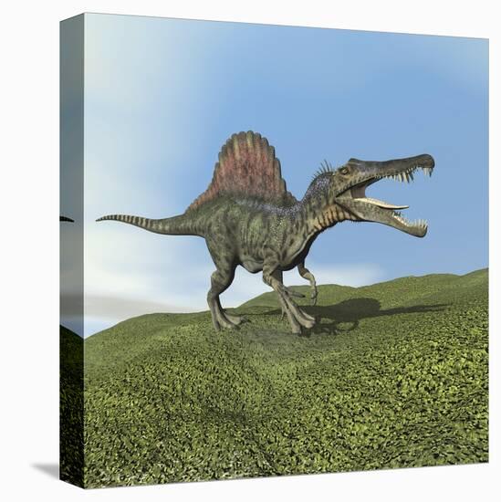 Spinosaurus Dinosaur-null-Stretched Canvas