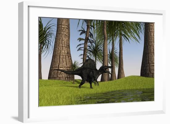 Spinosaurus Hunting Along the Edge of a Swamp-null-Framed Art Print
