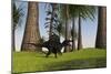 Spinosaurus Hunting Along the Edge of a Swamp-null-Mounted Art Print