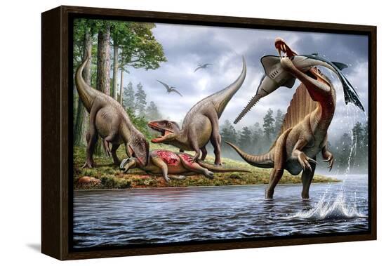 Stretched Canvas Print, , large