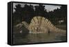 Spinosaurus Hunting for Fish in a Lake-Stocktrek Images-Framed Stretched Canvas