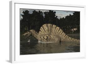 Spinosaurus Hunting for Fish in a Lake-Stocktrek Images-Framed Art Print