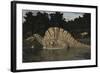 Spinosaurus Hunting for Fish in a Lake-Stocktrek Images-Framed Art Print