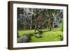 Spinosaurus Hunting in a Tropical Environment-null-Framed Art Print