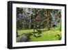 Spinosaurus Hunting in a Tropical Environment-null-Framed Art Print