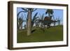 Spinosaurus Hunting in an Open Field-null-Framed Art Print