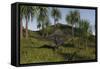 Spinosaurus Hunting in an Open Field-null-Framed Stretched Canvas