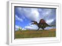 White Frame