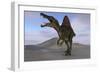 Spinosaurus Hunting on Barren Terrain-null-Framed Art Print