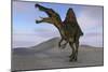 Spinosaurus Hunting on Barren Terrain-null-Mounted Art Print