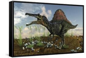 Spinosaurus in a Desert Landscape-null-Framed Stretched Canvas