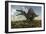 Spinosaurus in a Desert Landscape-null-Framed Art Print