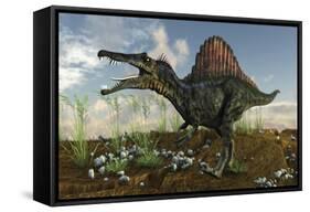 Spinosaurus in a Desert Landscape-null-Framed Stretched Canvas