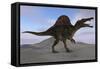 Spinosaurus on Barren Terrain-null-Framed Stretched Canvas