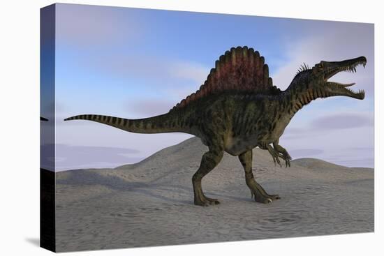 Spinosaurus on Barren Terrain-null-Stretched Canvas