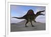 Spinosaurus on Barren Terrain-null-Framed Art Print