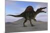 Spinosaurus on Barren Terrain-null-Mounted Art Print