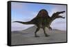 Spinosaurus on Barren Terrain-null-Framed Stretched Canvas