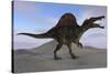 Spinosaurus on Barren Terrain-null-Stretched Canvas