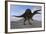 Spinosaurus on Barren Terrain-null-Framed Art Print