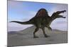 Spinosaurus on Barren Terrain-null-Mounted Art Print
