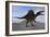 Spinosaurus on Barren Terrain-null-Framed Art Print