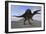 Spinosaurus on Barren Terrain-null-Framed Art Print