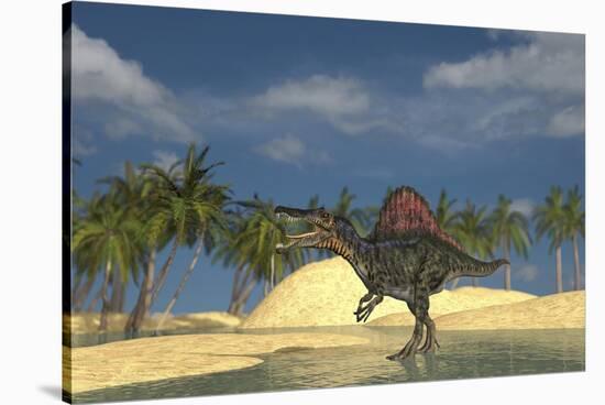 Spinosaurus Standing in Shallow Water-null-Stretched Canvas