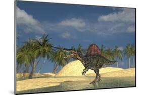 Spinosaurus Standing in Shallow Water-null-Mounted Premium Giclee Print