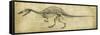 Spinosaurus Study-Ethan Harper-Framed Stretched Canvas