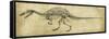 Spinosaurus Study-Ethan Harper-Framed Stretched Canvas