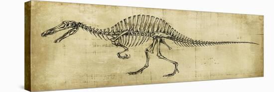 Spinosaurus Study-Ethan Harper-Stretched Canvas
