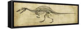 Spinosaurus Study-Ethan Harper-Framed Stretched Canvas