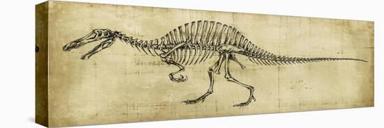 Spinosaurus Study-Ethan Harper-Stretched Canvas