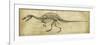 Spinosaurus Study-Ethan Harper-Framed Premium Giclee Print