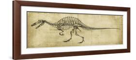Spinosaurus Study-Ethan Harper-Framed Art Print