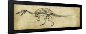 Spinosaurus Study-Ethan Harper-Framed Art Print