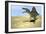 Spinosaurus Walking across Desert Terrain-null-Framed Art Print