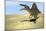 Spinosaurus Walking across Desert Terrain-null-Mounted Art Print