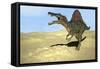 Spinosaurus Walking across Desert Terrain-null-Framed Stretched Canvas