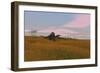 Spinosaurus Walking across Prehistoric Grasslands-null-Framed Art Print