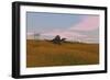 Spinosaurus Walking across Prehistoric Grasslands-null-Framed Art Print