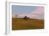 Spinosaurus Walking across Prehistoric Grasslands-null-Framed Art Print