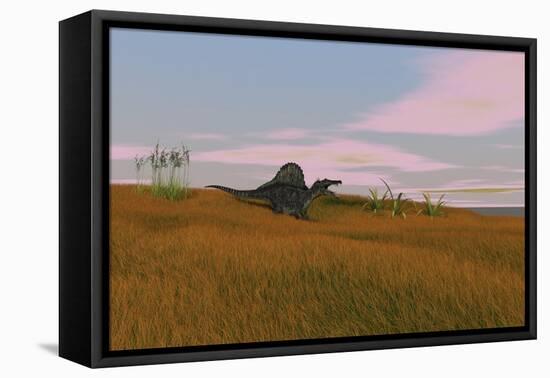 Spinosaurus Walking across Prehistoric Grasslands-null-Framed Stretched Canvas