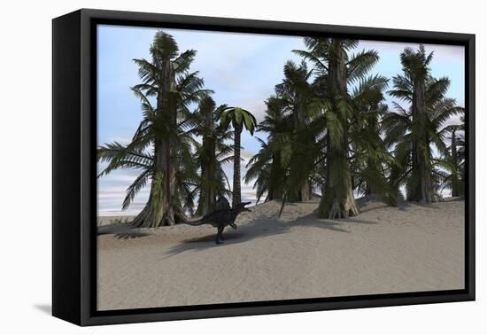 Spinosaurus Walking in a Desert Environment-null-Framed Stretched Canvas