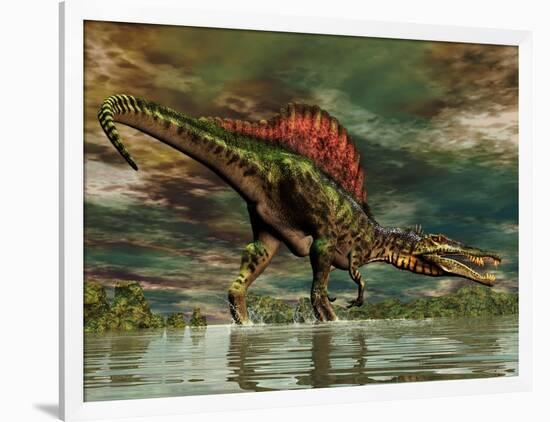 Spinosaurus Was a Large Theropod Dinosaur from the Cretaceous Period-null-Framed Art Print