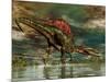 Spinosaurus Was a Large Theropod Dinosaur from the Cretaceous Period-null-Mounted Art Print